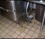 Commercial kitchen floor before pressure washing Commercial kitchen floor before pressure washing