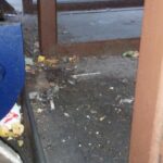 Pressure Washing A Trash Pit At Denver University 05