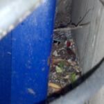 Pressure Washing A Trash Pit At Denver University 06
